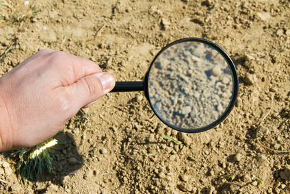 Kalk von Otterbein f&uuml;r ph-Wert-Regulierung im Boden